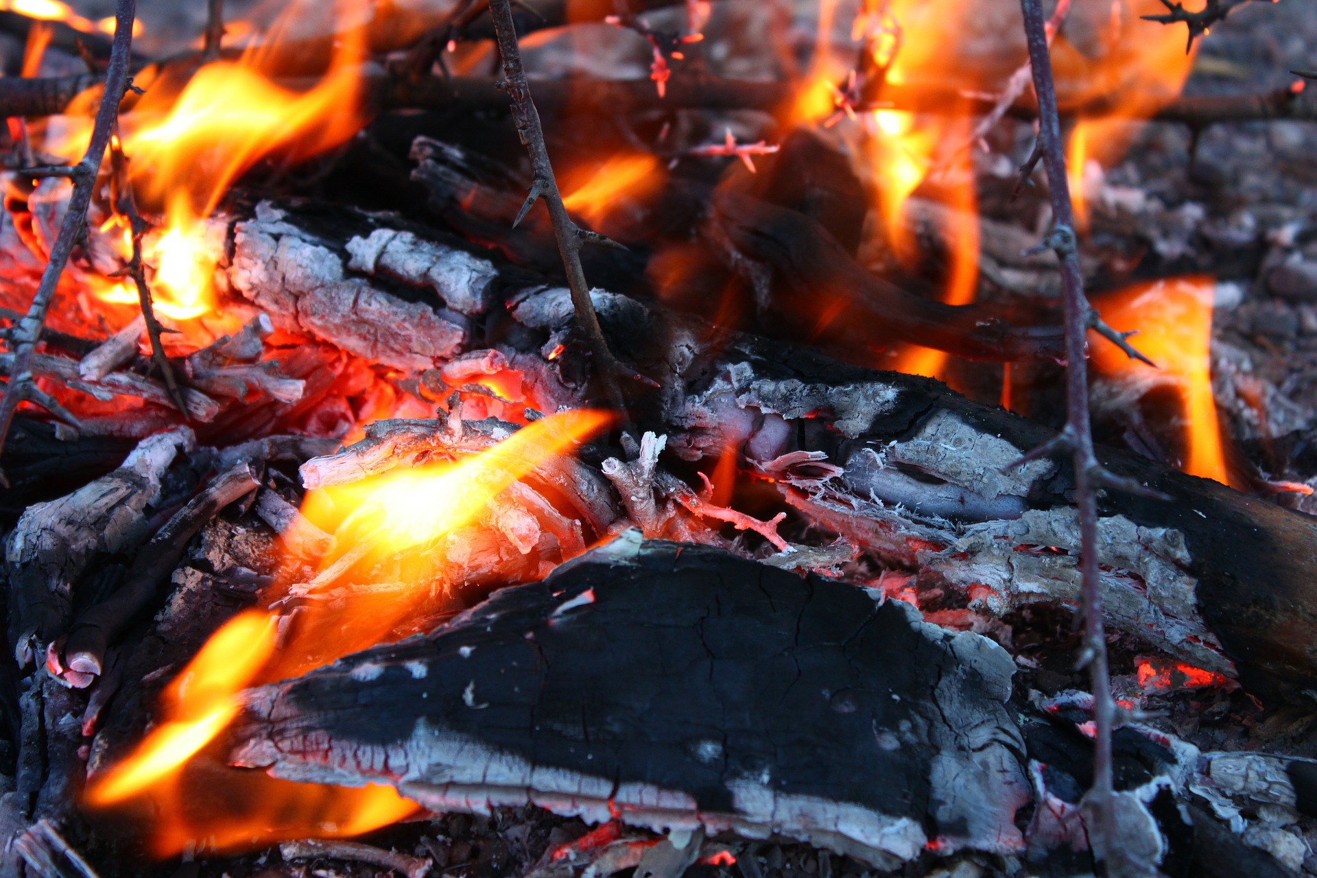 barbecue au camping base de loisirs de La Pègue, Nature Cévennes