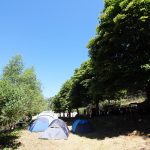 Installation camping et herbergement agréé DDJSCS en Lozère